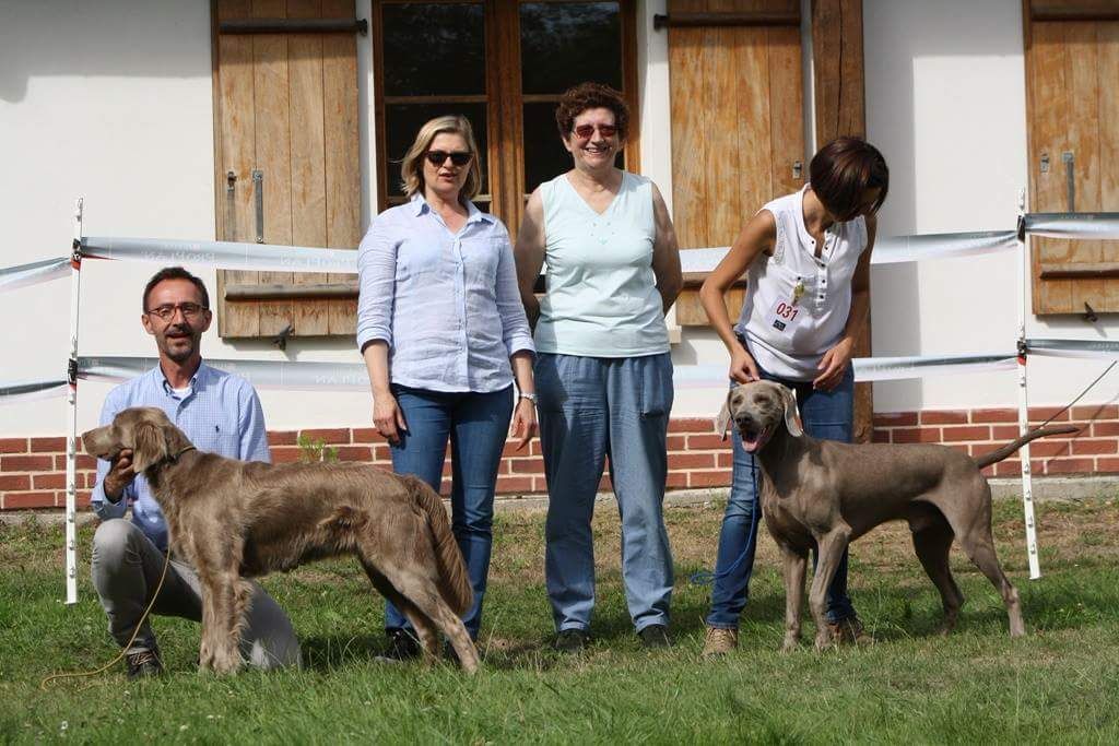 Des Gris Des Trois Vallées - Salon de l'agriculture 2018