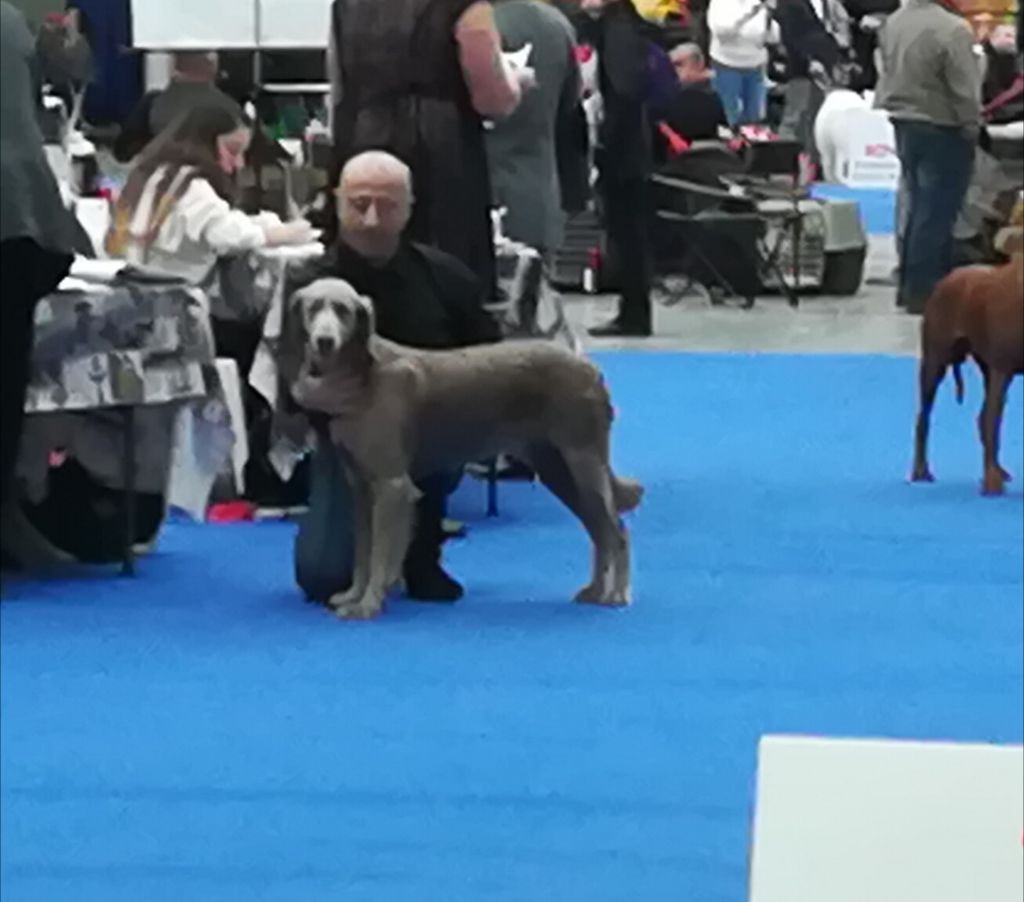 Des Gris Des Trois Vallées - Exposition internationale du Bourget